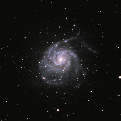 Gbaer M101 450d Sc8 Alangee 25x5 0800